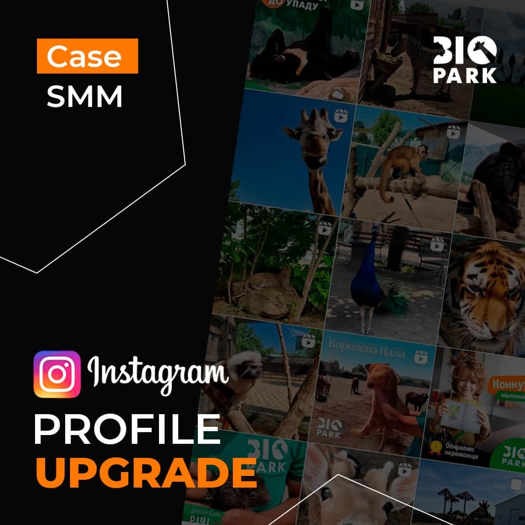 Instagram profile upgrade