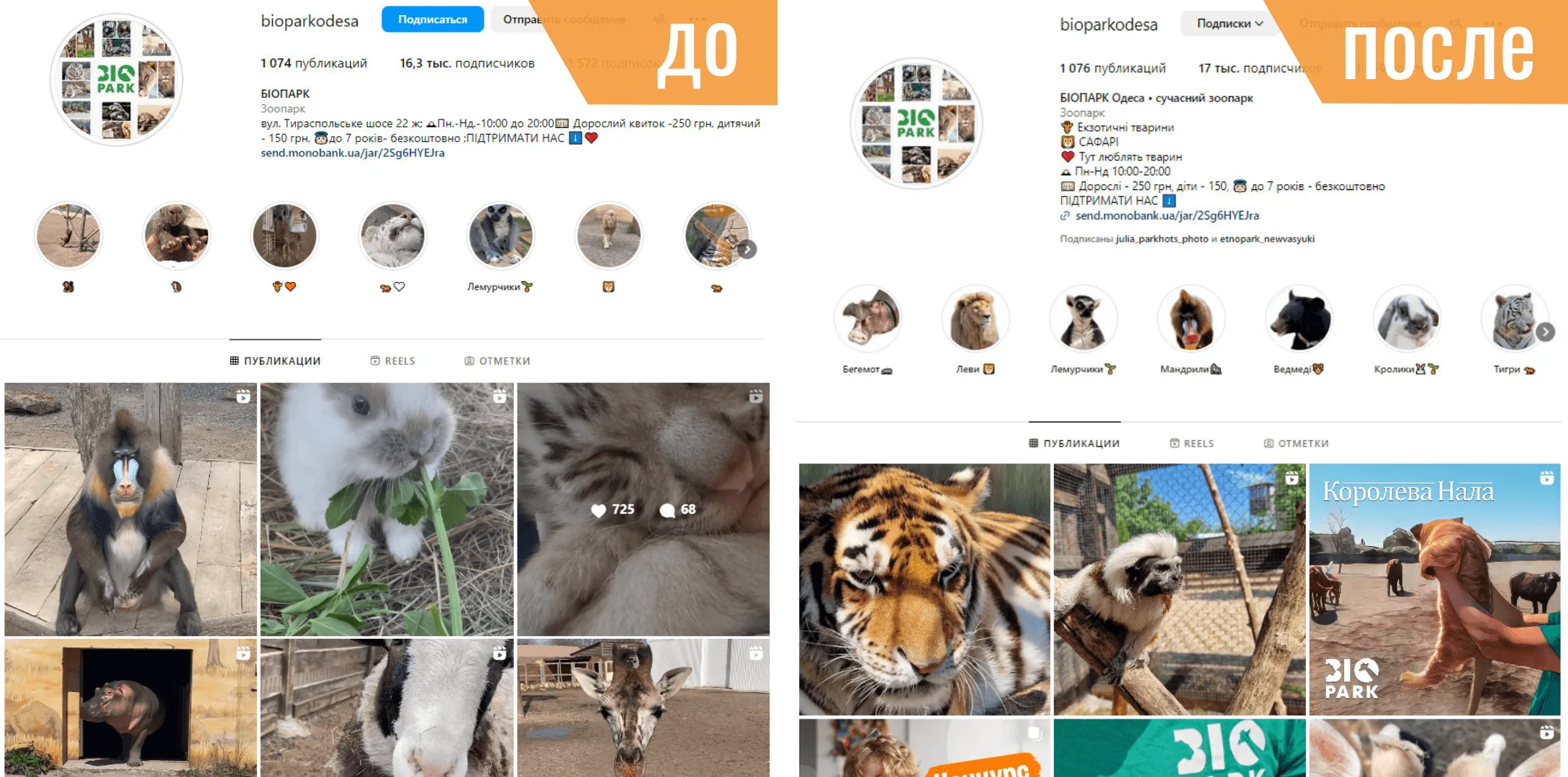 Биопарк Одесса инстаграм Дизайн профиля Instagram - Одесского биопарка