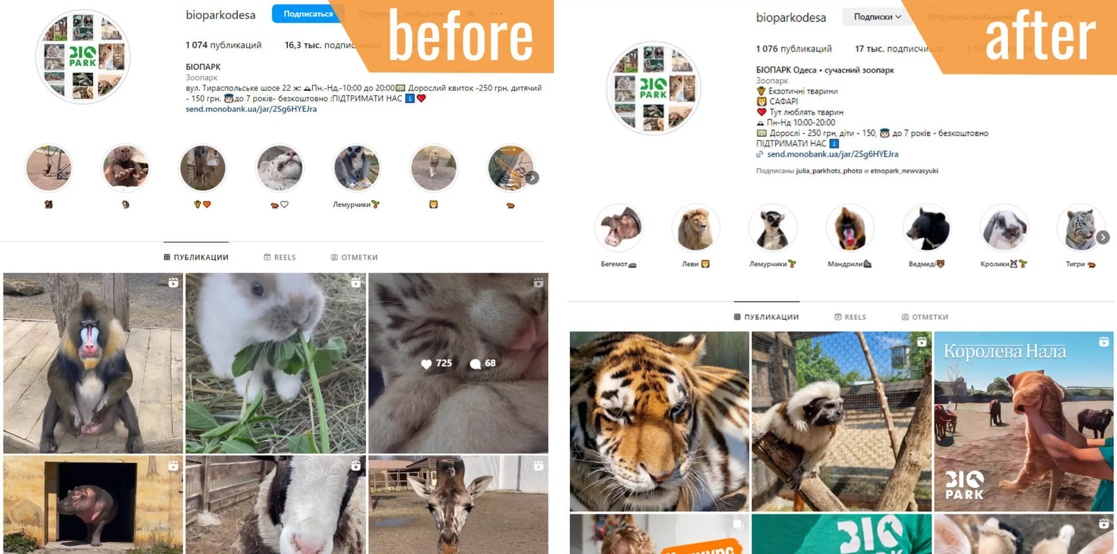 Biopark Odessa instagram Instagram Profile Design - Odessa Biopark