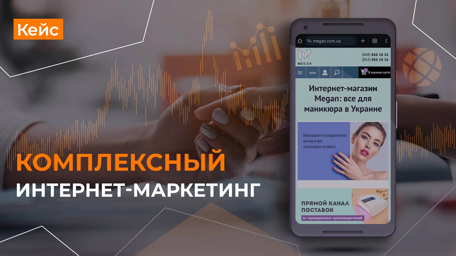 Кейс по разработка стратегии развития в сети Интернет для Megan Разработка стратегии развития в сети Интернет для Megan