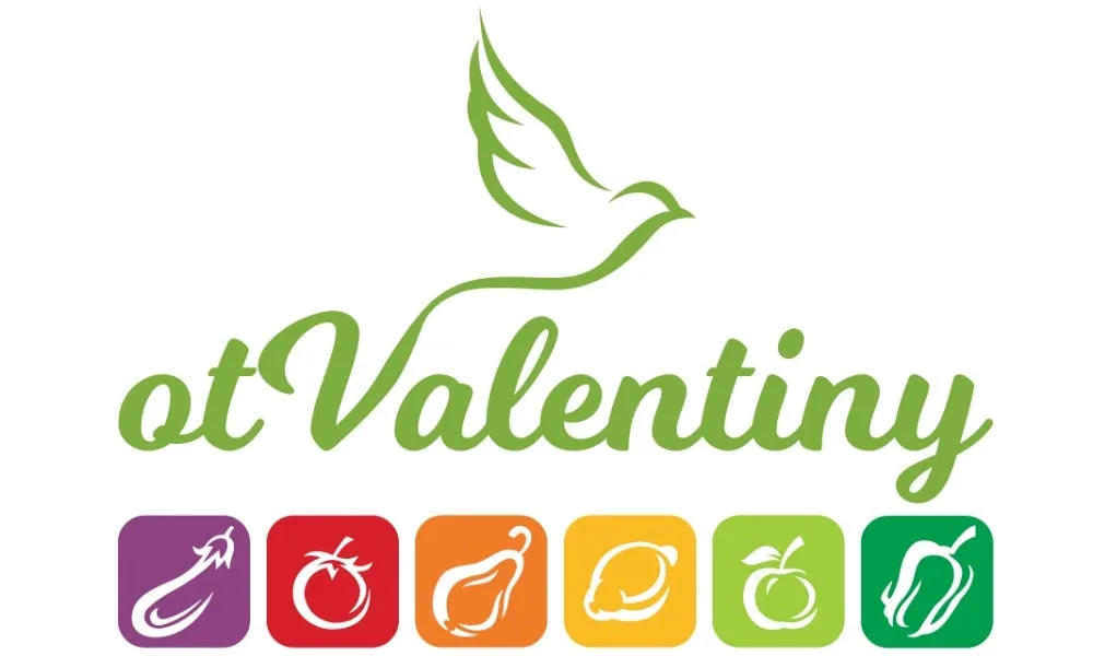 Создание логотипа для компании otValentiny